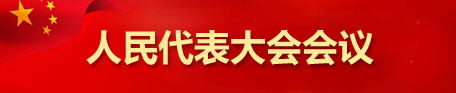 人民代表大会会议