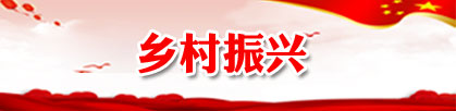 乡村振兴