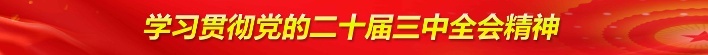 学习贯彻党的二十届三中全会精神
