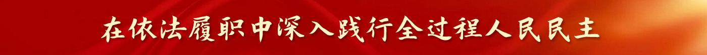 在依法履职中深入践行全过程人民民主