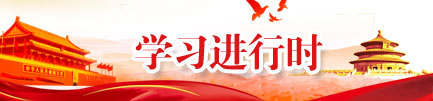 学习进行时